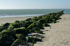 Sur la plage